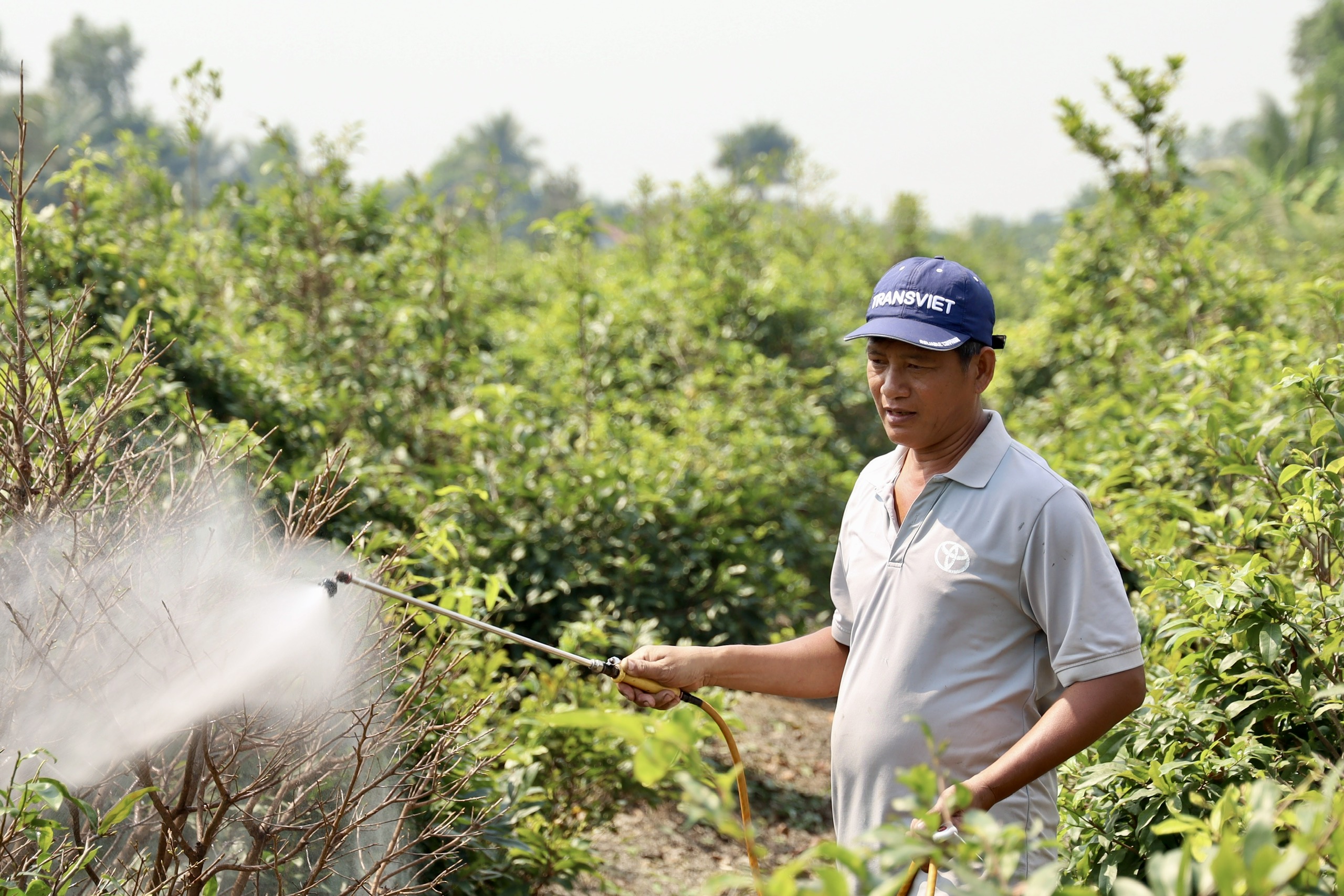 Mang mùa xuân đến cho nhiều lao động - Ảnh 2.