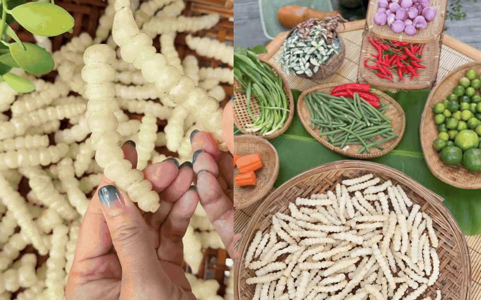 Chi nửa triệu mua rổ 