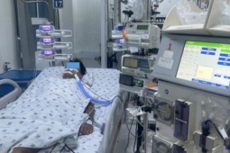 Cứu sống bé 15 tuổi sốc sốt xuất huyết nặng, biến chứng tổn thương thận, gan, tụy