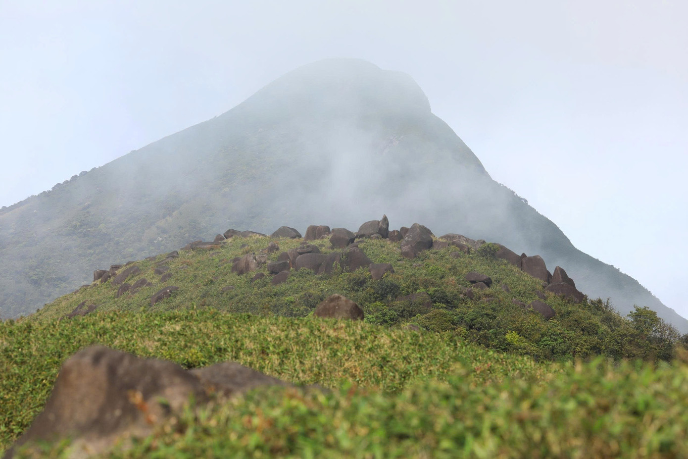 Bồng bềnh mây trắng, hoa rừng ở Pa Thiên - Voi Mẹp- Ảnh 1.