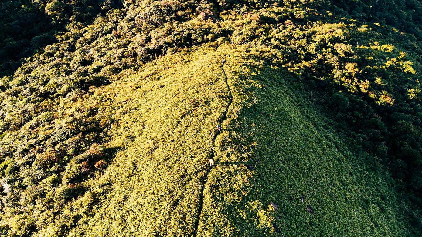 Bồng bềnh mây trắng, hoa rừng ở Pa Thiên - Voi Mẹp- Ảnh 13.