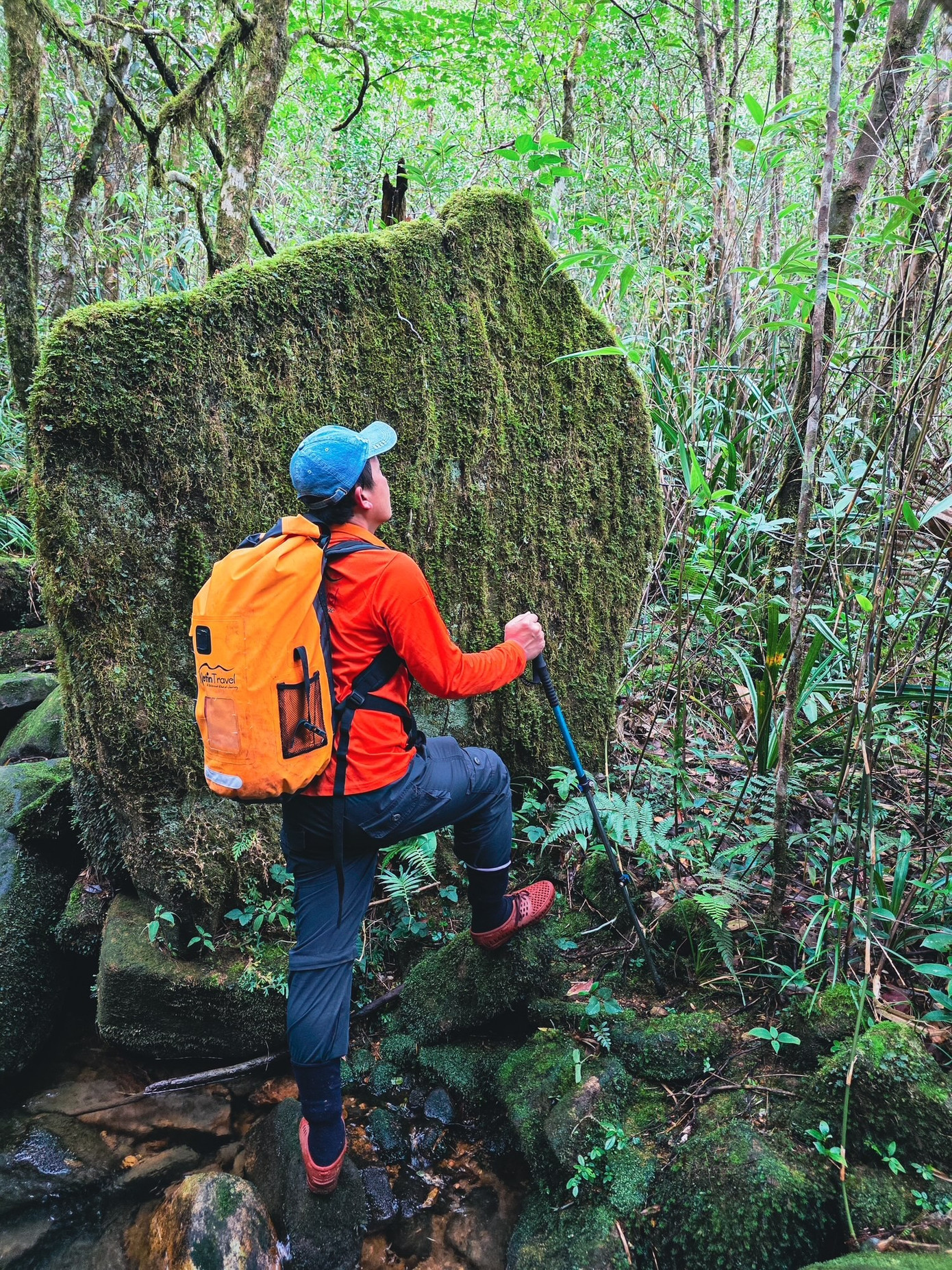 Bồng bềnh mây trắng, hoa rừng ở Pa Thiên - Voi Mẹp- Ảnh 15.