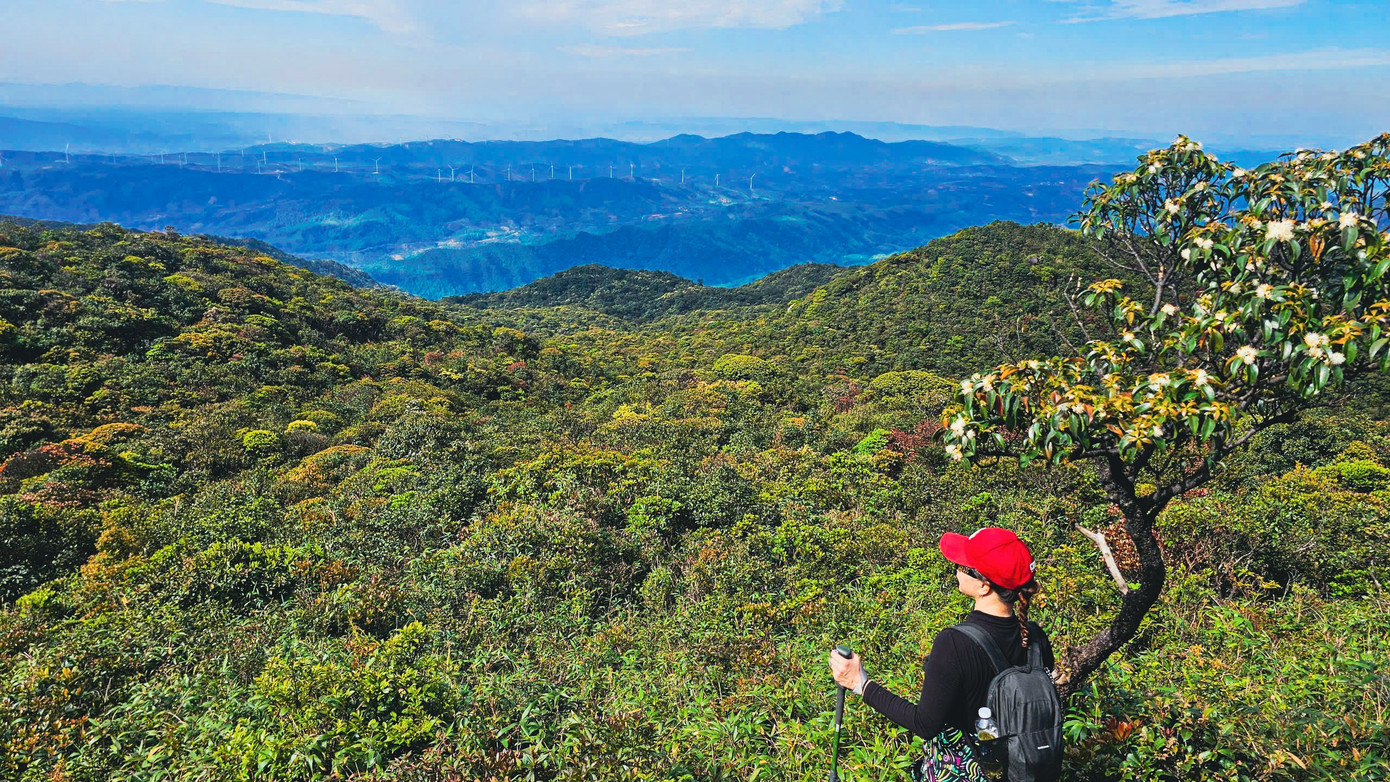 Bồng bềnh mây trắng, hoa rừng ở Pa Thiên - Voi Mẹp- Ảnh 17.