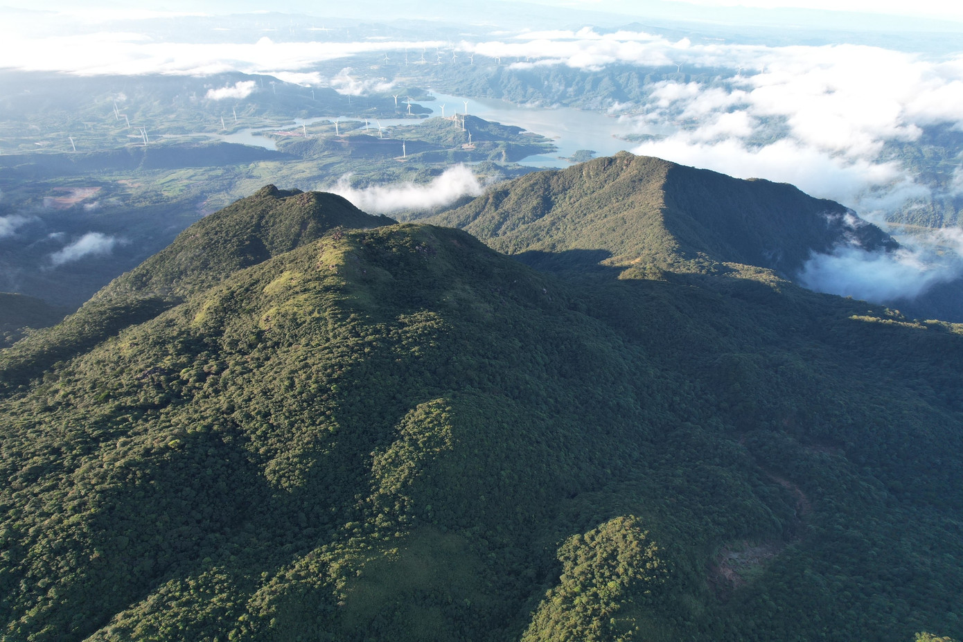 Bồng bềnh mây trắng, hoa rừng ở Pa Thiên - Voi Mẹp- Ảnh 22.