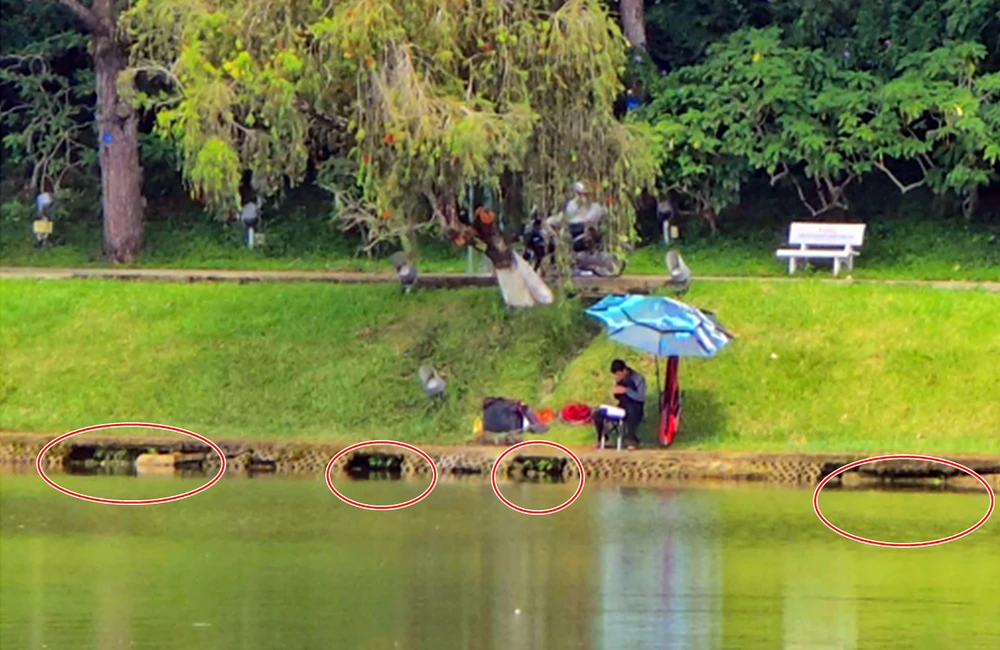 ho-xuan-huong (3).png