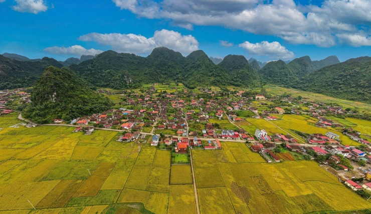 Toàn cảnh làng Quỳnh Sơn vào mùa vàng. Ảnh: Nam Nguyễn