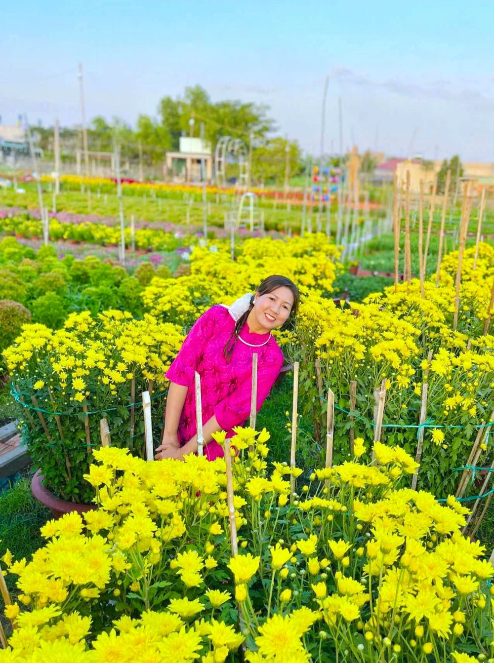 linh vật ngựa 7.jpg