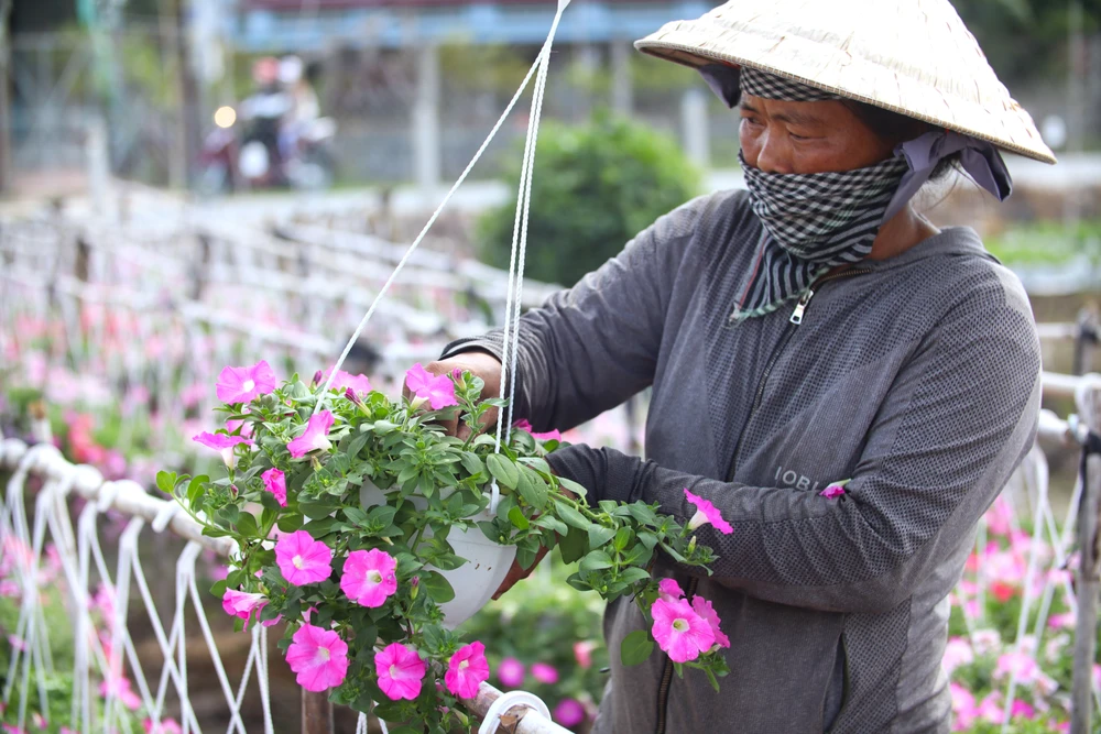 linh vật ngựa 16.JPG