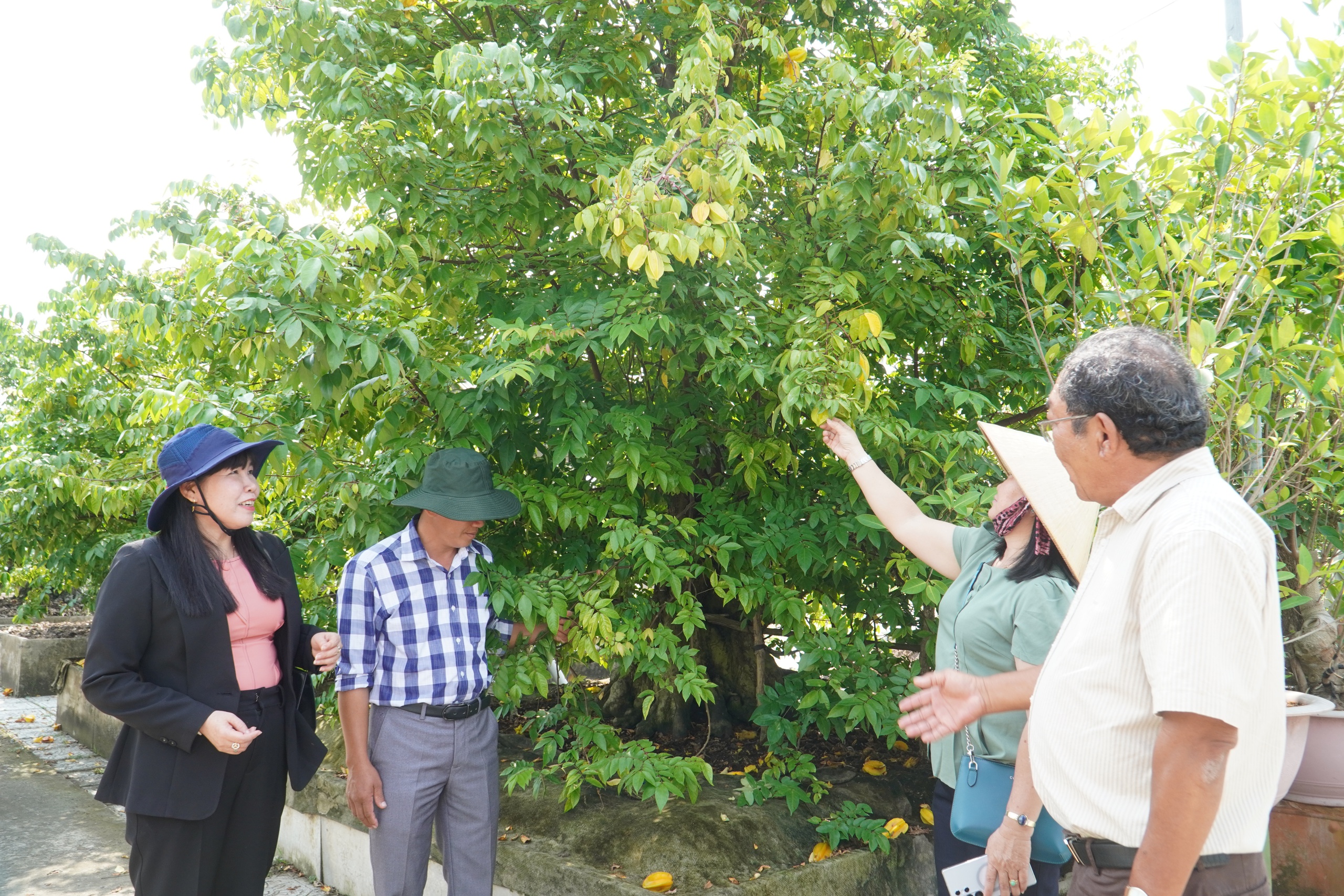 Vườn bonsai tiền tỉ khởi nguồn từ thú chơi mai tết - Ảnh 7.