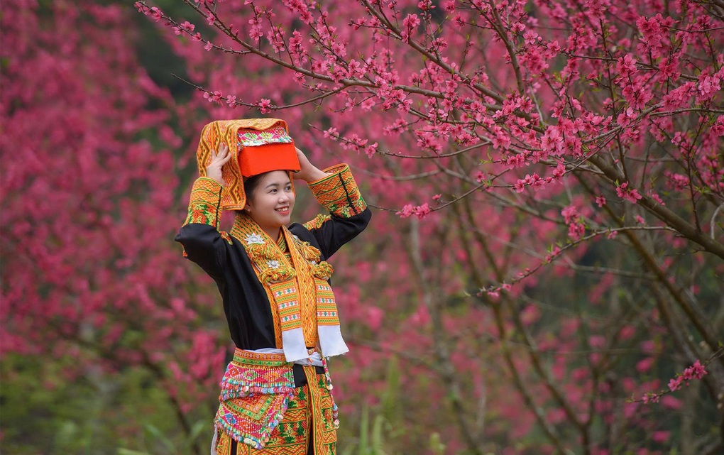 Rực sắc đào nơi biên giới, Lạng Sơn mở hội đón du khách suốt 2 tháng - 2