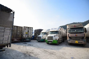 Bộ NN&MT kiến nghị sửa gấp Nghị định 46, tháo gỡ khó khăn cho hàng nông sản ở cửa khẩu 