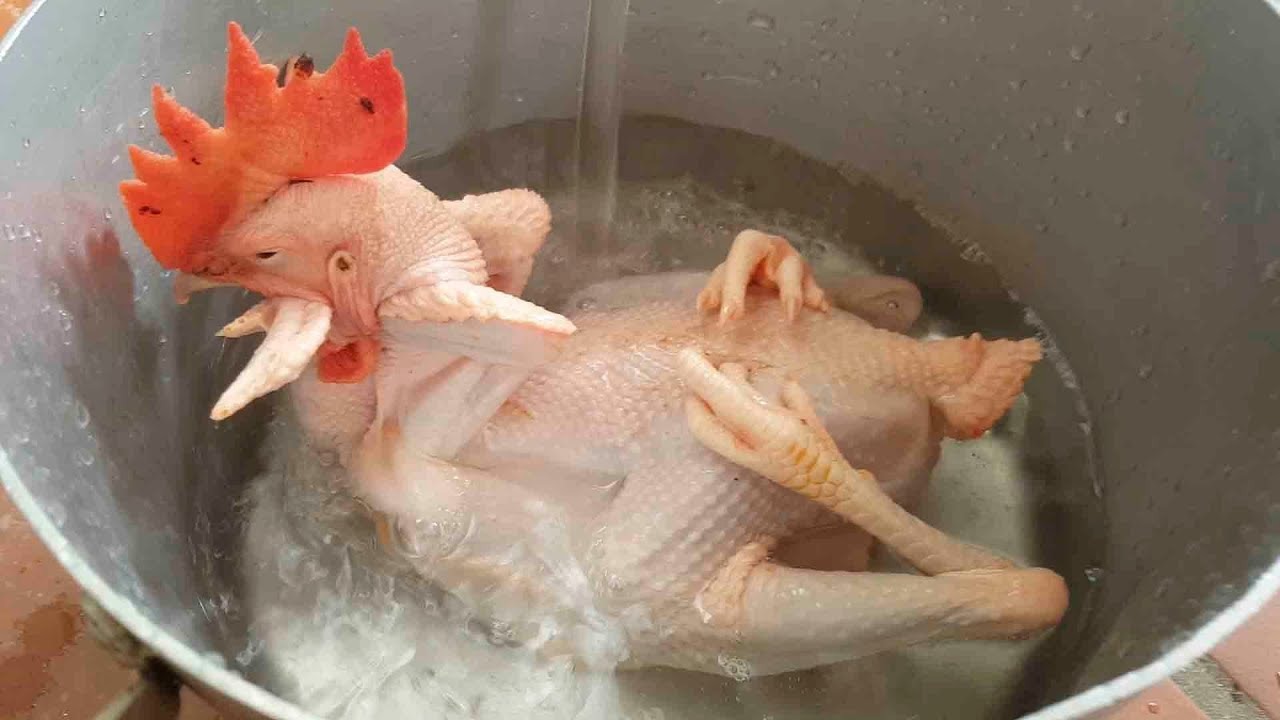 3 đời nhà tôi có mẹo luộc gà cúng: Da vàng ruộm, không nứt rách, đúng lễ nghi chuẩn phong thủy- Ảnh 3.