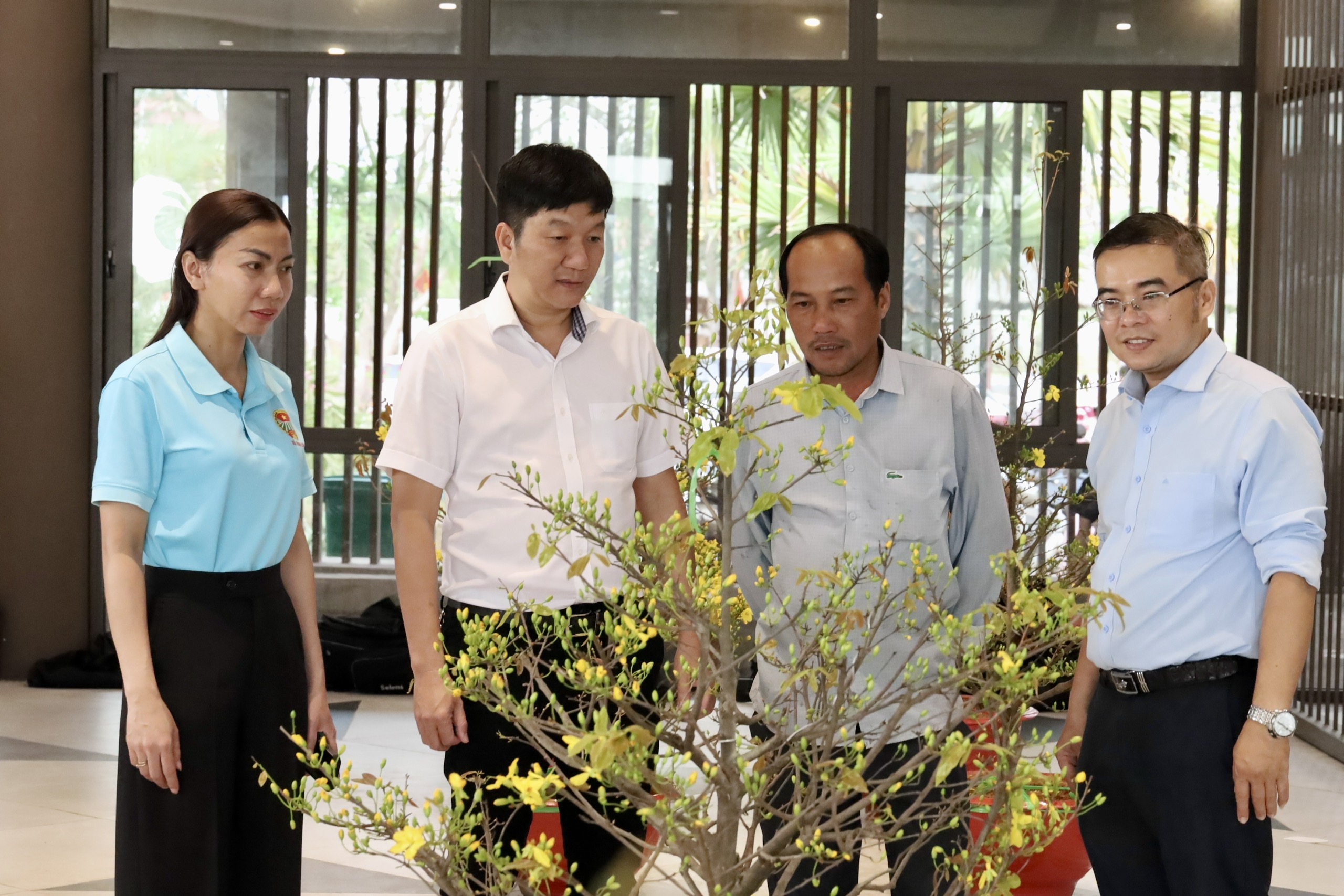 Một địa phương tại TPHCM “lên sóng” bán mai vàng hỗ trợ nông dân - Ảnh 2.