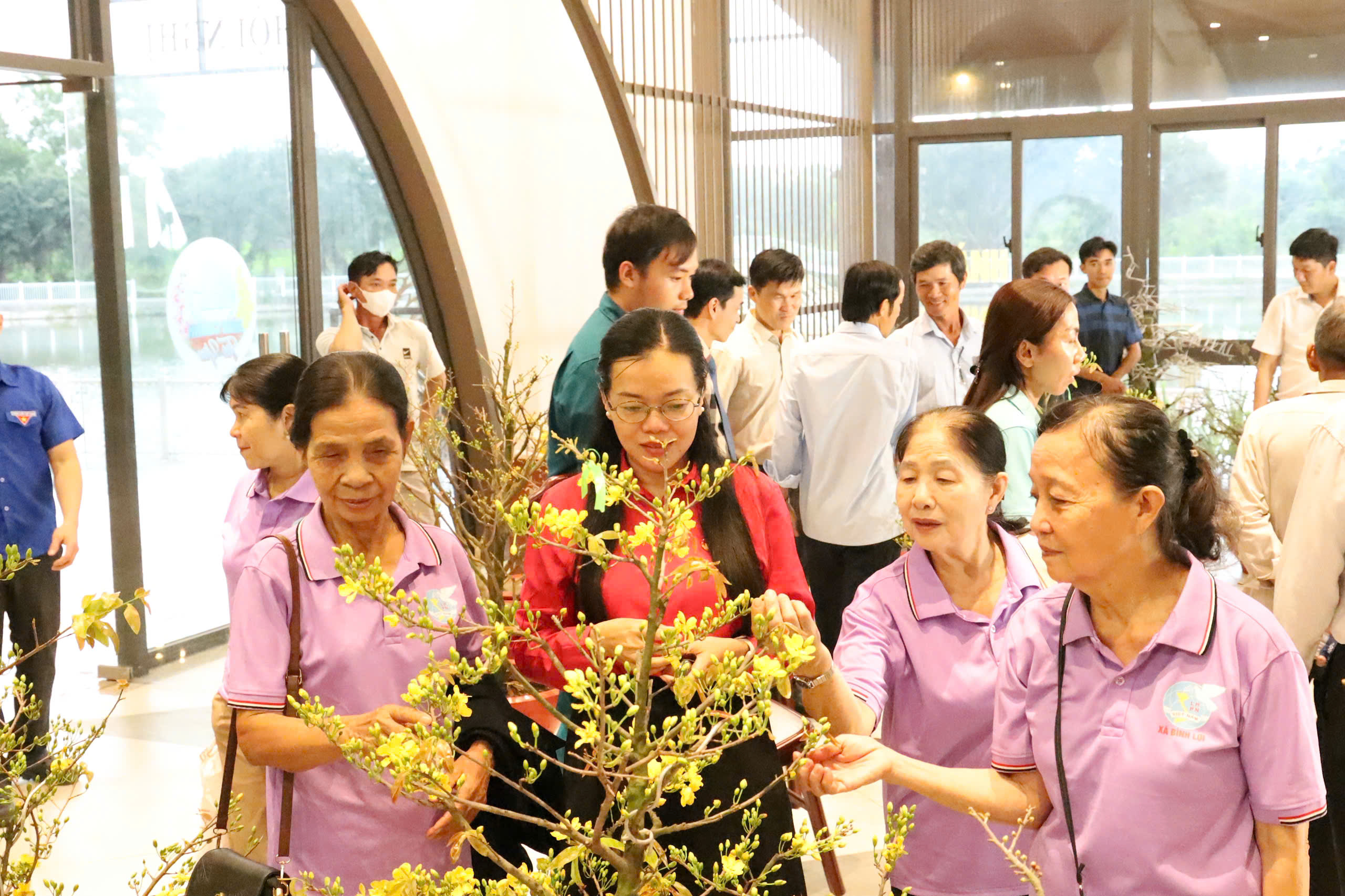 Một địa phương tại TPHCM “lên sóng” bán mai vàng hỗ trợ nông dân - Ảnh 3.