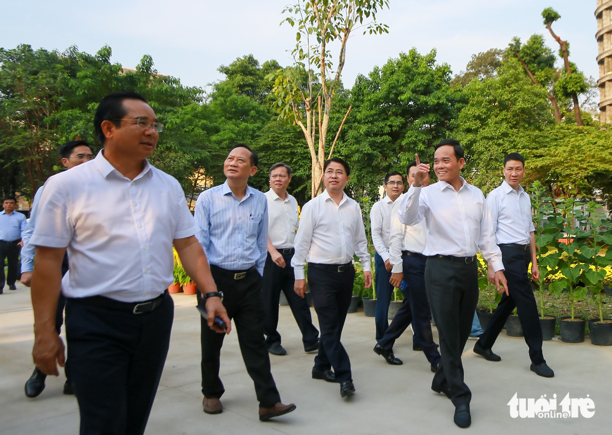 Trần Lưu Quang - Ảnh 9.