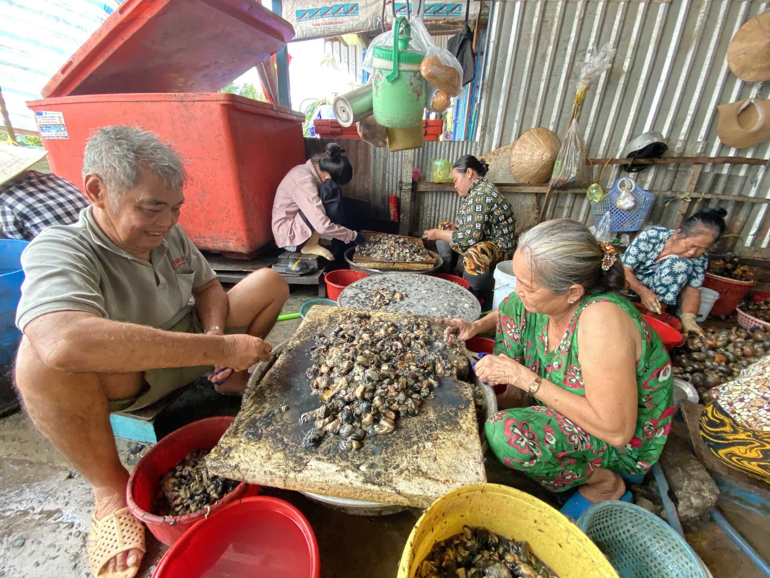 ốc bươu vàng - Ảnh 4.