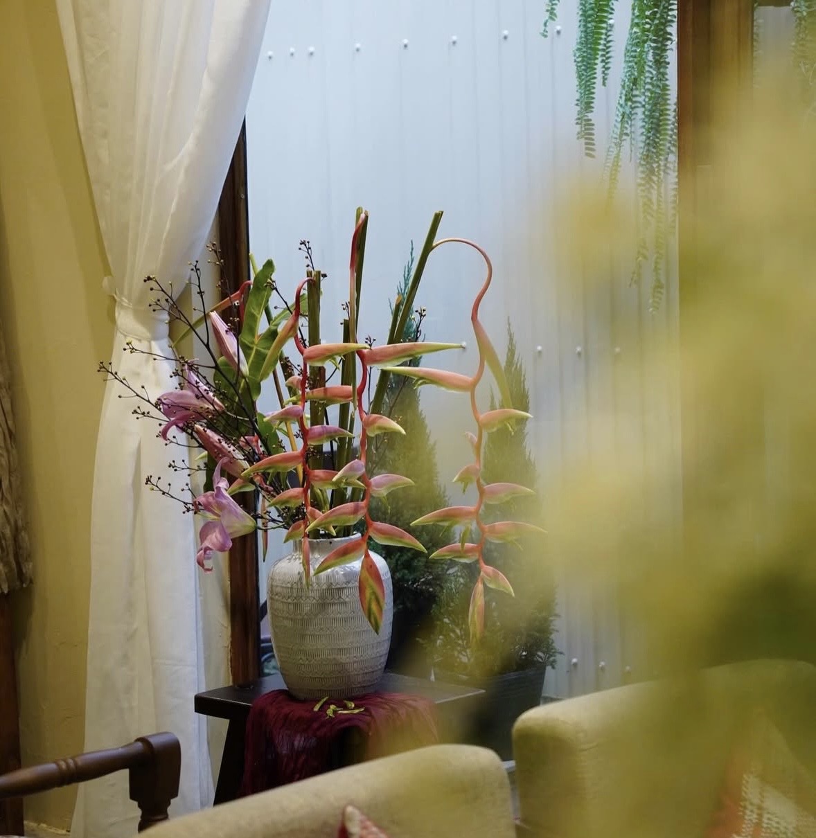 Có một loại hoa chơi được đến 2 tháng, chụp ảnh với áo dài thì xinh hết nấc- Ảnh 8.