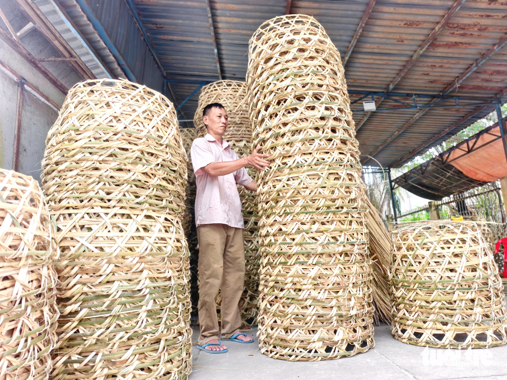 Xuân Thới Sơn - Ảnh 2.