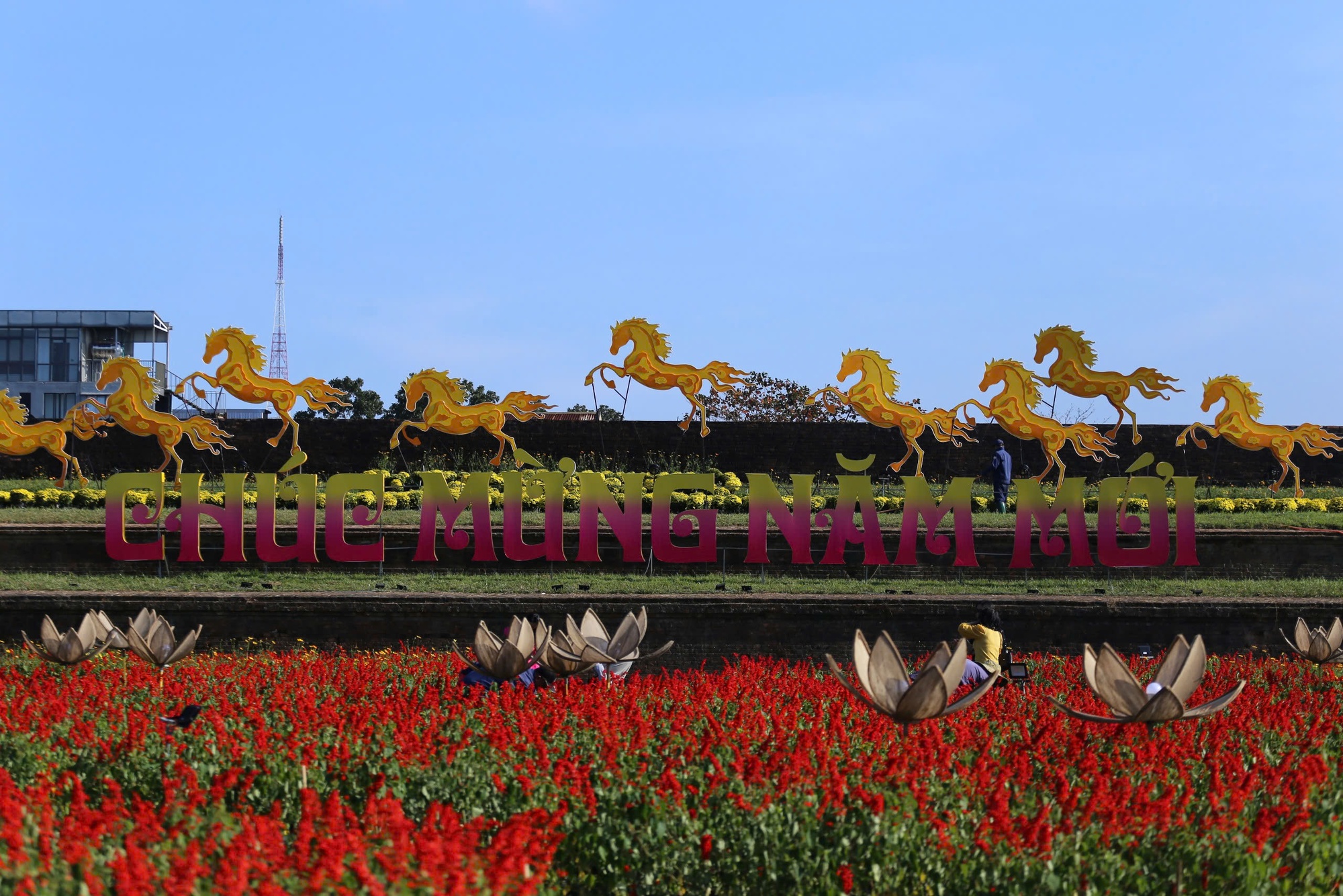 Linh vật ngựa và long mã xứ Huế cùng thành ngữ 'ngựa Thượng Tứ' ít người biết- Ảnh 11.