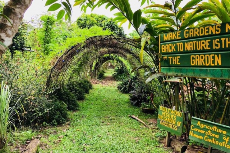Không gian xanh mát với thảm thực vật đa dạng ngay từ cổng vào giữa vùng ven Kranji (Ảnh: Cơ quan du lịch Singapore)