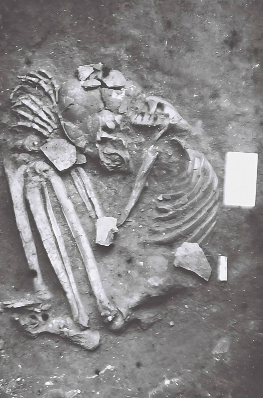 Xác ướp hun khói tại Việt Nam - phát hiện khảo cổ học thế giới- Ảnh 3.