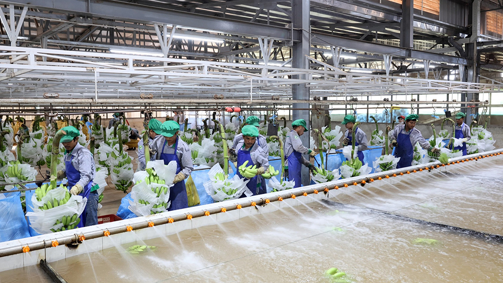 Thị trường Lào, Campuchia ngày càng quan trọng- Ảnh 4.