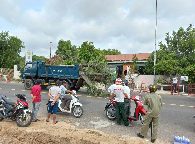 Kiến nghị siết trách nhiệm cấp xã phường giải quyết án đất đai Lâm Đồng 2026 - Ảnh 2.