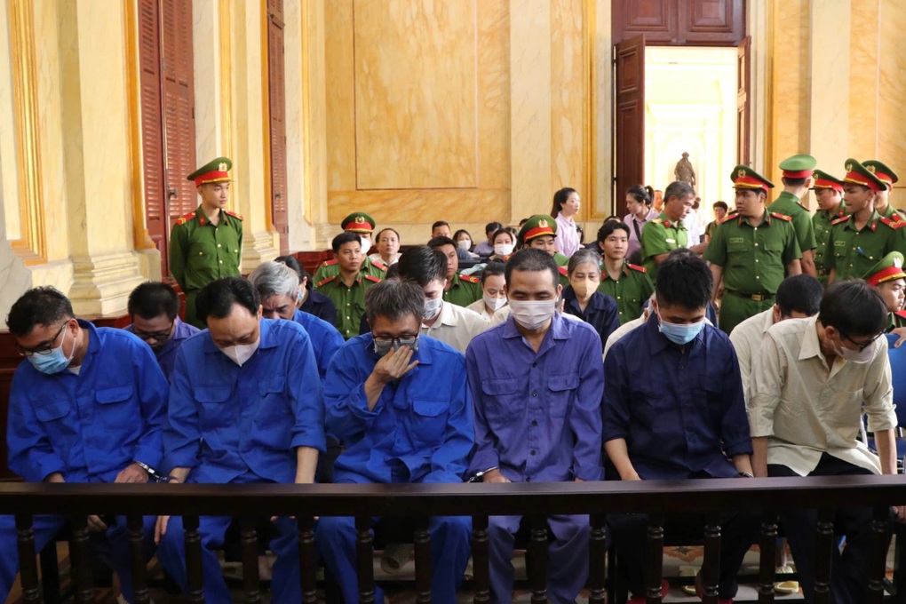 Nhập lậu 116.000 tấn thịt vùng dịch, vợ chồng đại gia ở TPHCM lĩnh án - 2