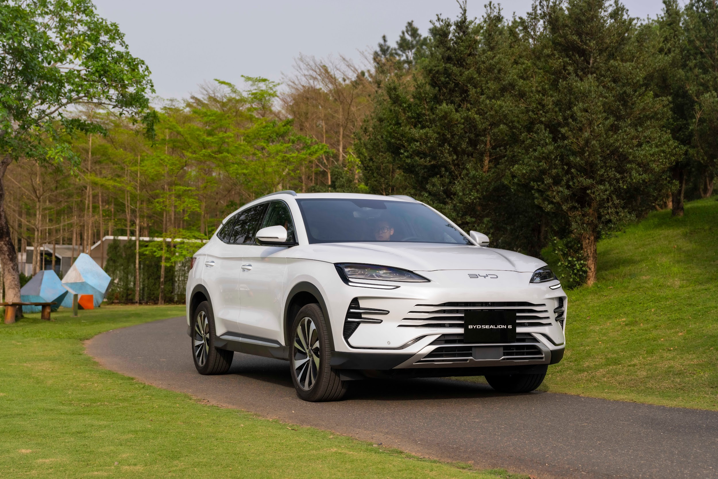 BYD và bước ngoặt của ngành xe điện toàn cầu - Ảnh 2.