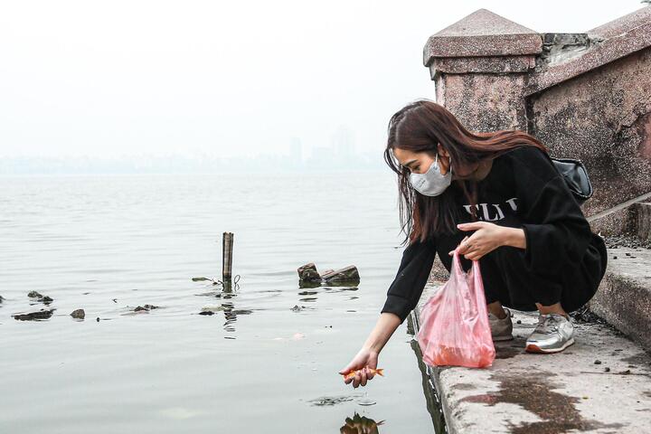 Cúng ông Công ông Táo bắt buộc phải có cá chép?- Ảnh 4.