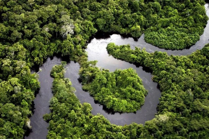 Một phần rừng Amazon địa phận Peru. Ảnh: Paul Rosolie