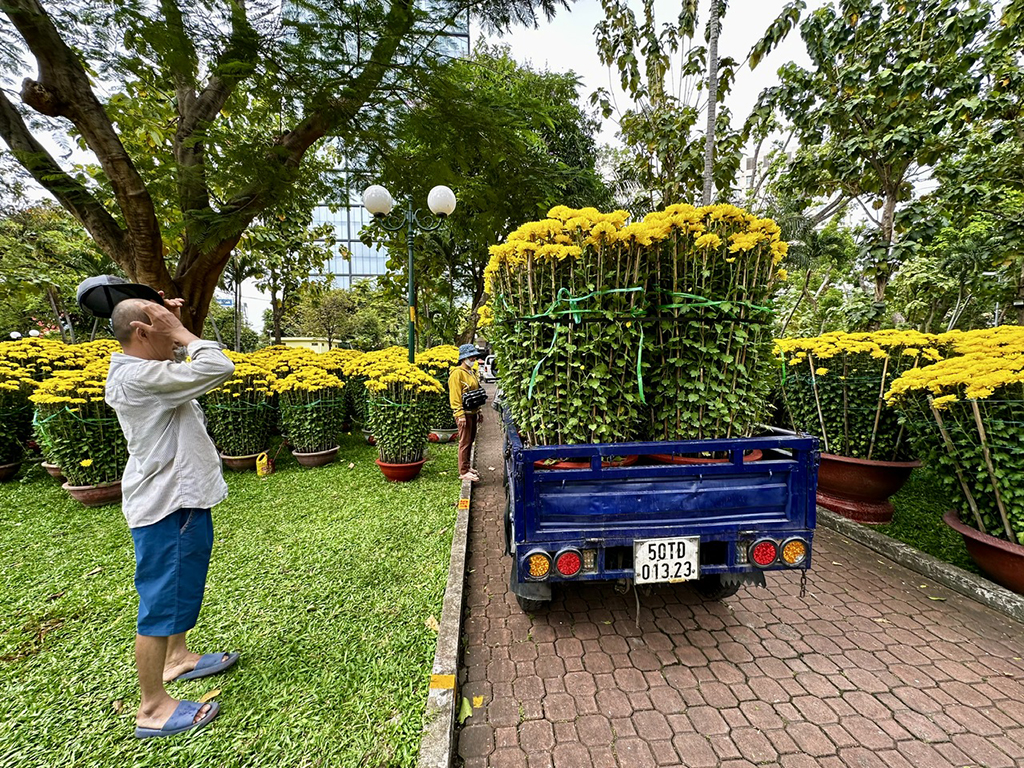 Hoa tết mọi miền khoe sắc giữa lòng TP.HCM- Ảnh 3.