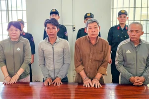 5 bị can bị 'phù phép' đất rừng phòng hộ ở Phú Quốc để chiếm đoạt 20 tỉ 