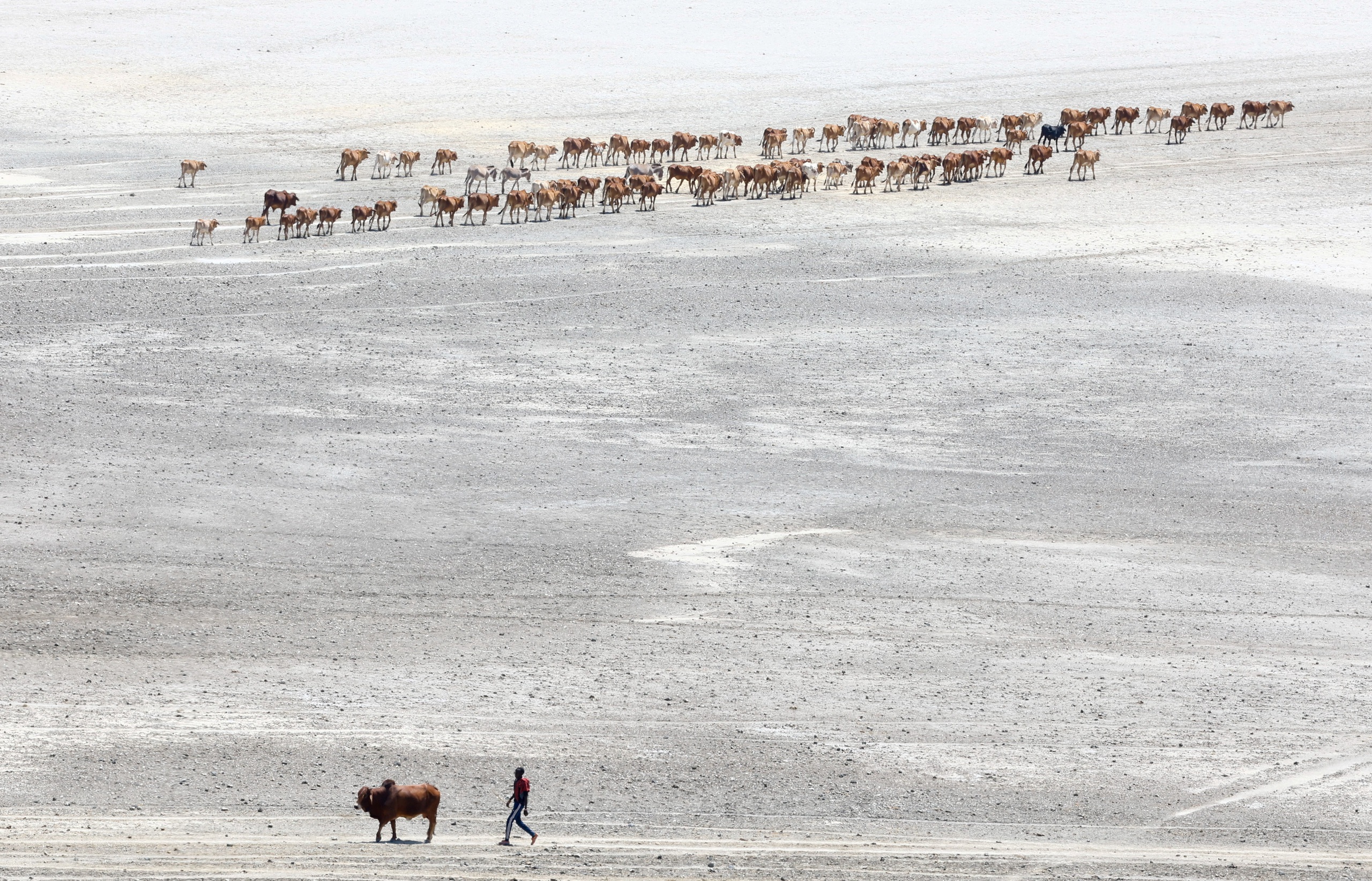 Tin tức thế giới 7-2: Mỹ trừng phạt Iran ngay sau đàm phán; Mexico gửi viện trợ nhân đạo cho Cuba - Ảnh 6.