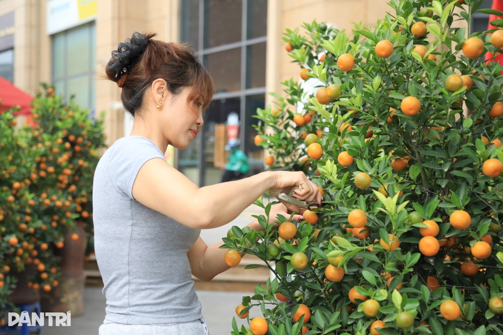 Cận Tết, chợ hoa vắng khách, tiểu thương ở Hà Nội than… ế chưa từng có - 2