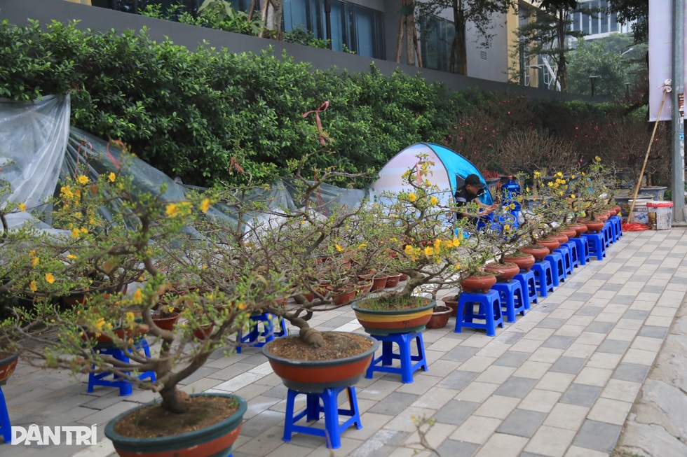 Cận Tết, chợ hoa vắng khách, tiểu thương ở Hà Nội than… ế chưa từng có - 6