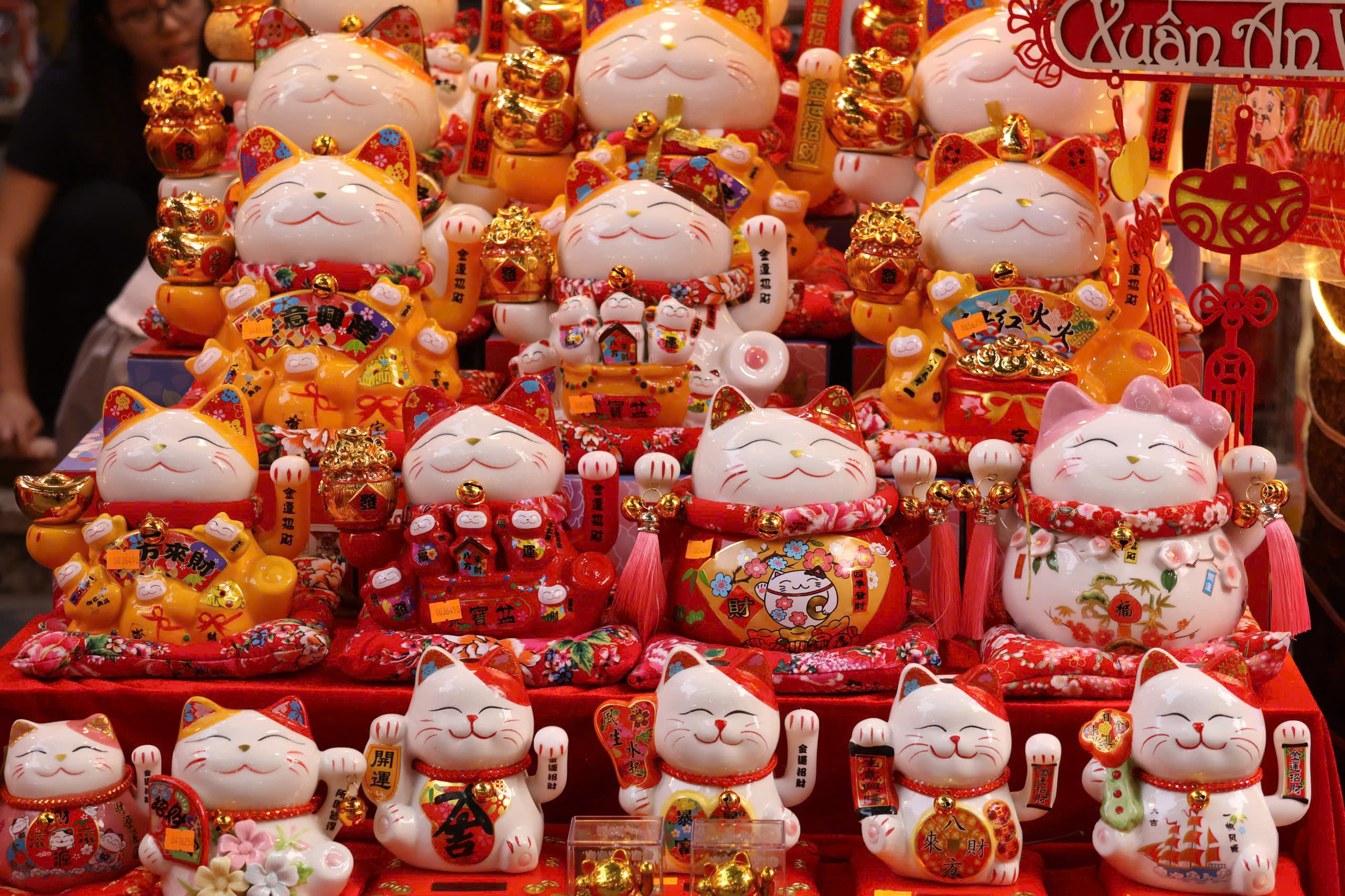 Phố, phường Thủ đô Hà Nội rực rỡ sắc Xuân  - Ảnh 8.