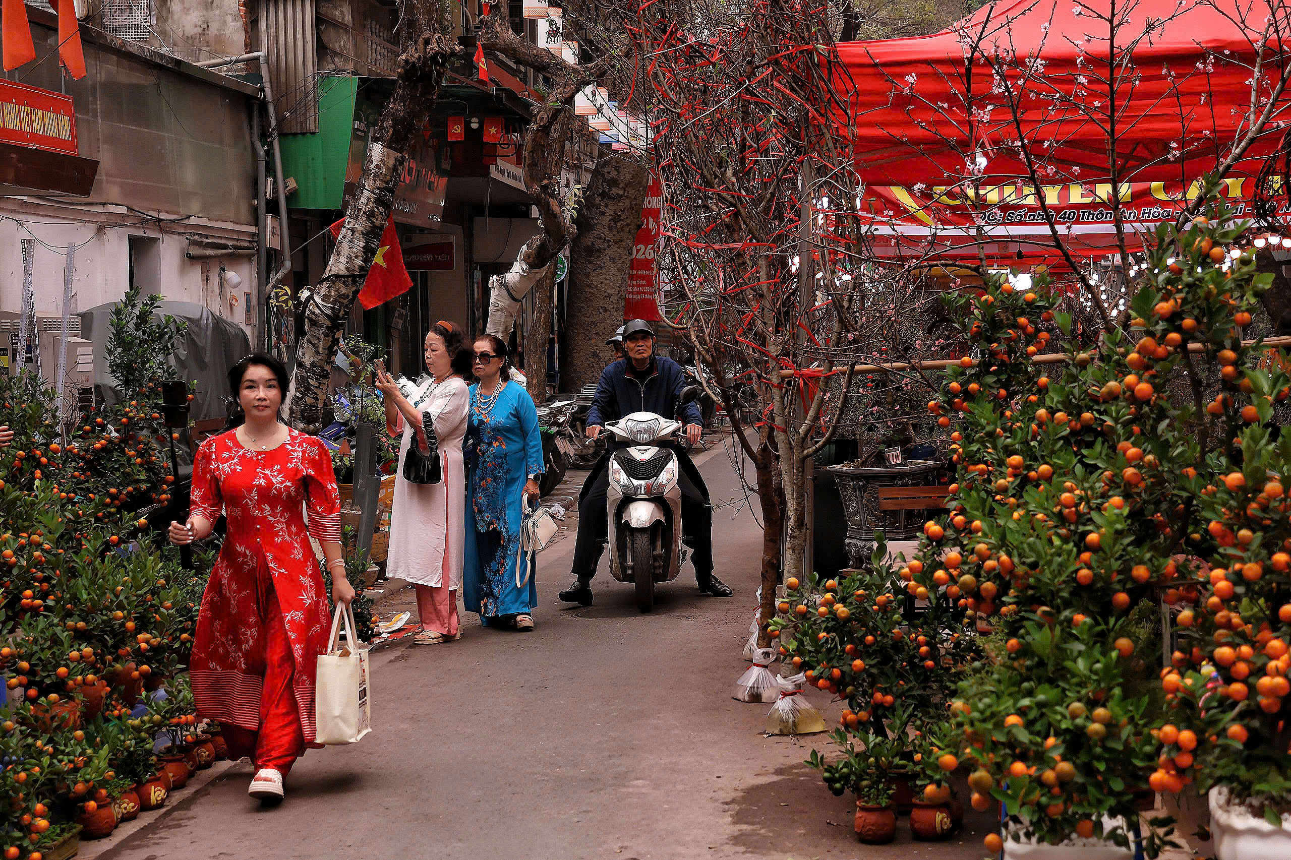 Phố, phường Thủ đô Hà Nội rực rỡ sắc Xuân  - Ảnh 9.