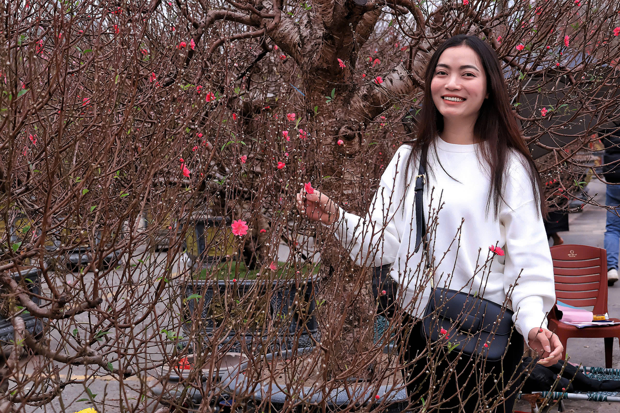 Phố, phường Thủ đô Hà Nội rực rỡ sắc Xuân  - Ảnh 20.