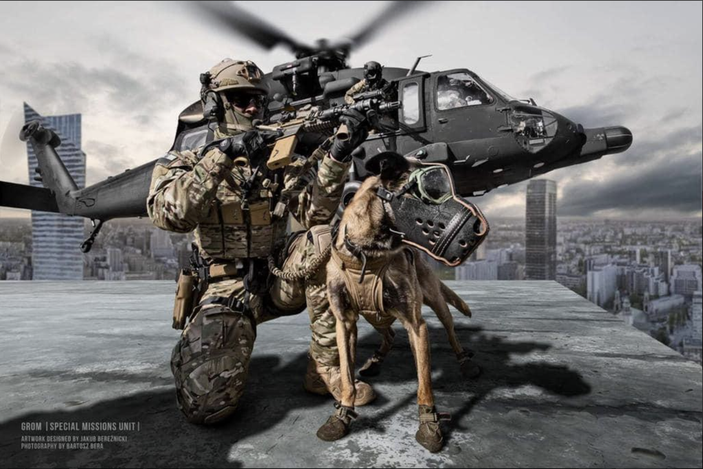 Đặc nhiệm GROM: Tiếng sét Ba Lan khiến khủng bố khiếp sợ - 2