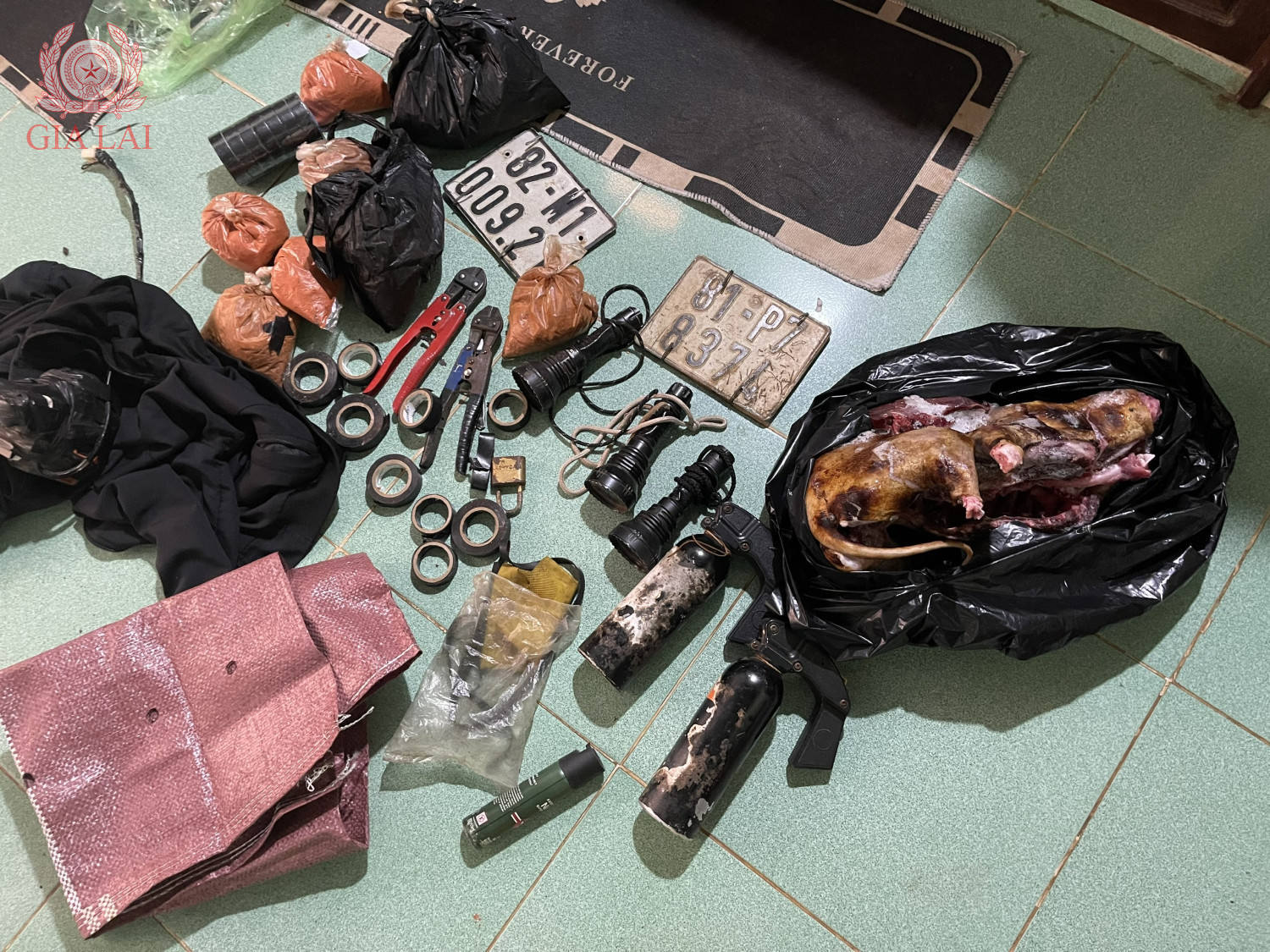 Băng nhóm “cẩu tặc” liên tỉnh sa lưới: 5.200 con chó bị bắt trộm, 52 tấn tuồn đi tiêu thụ thu lợi 2,6 tỷ đồng- Ảnh 5.