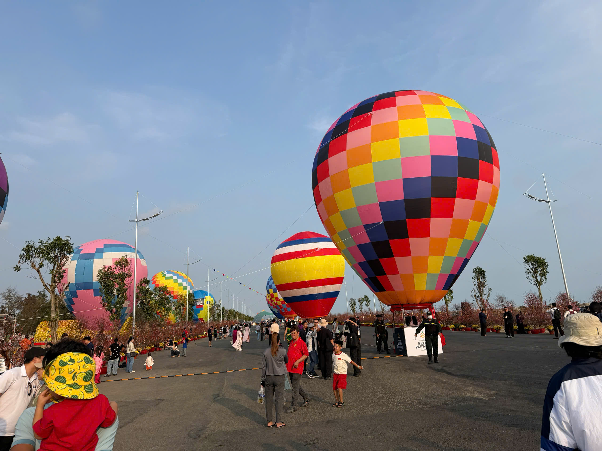 Cả nước rạo rực đón xuân- Ảnh 6.