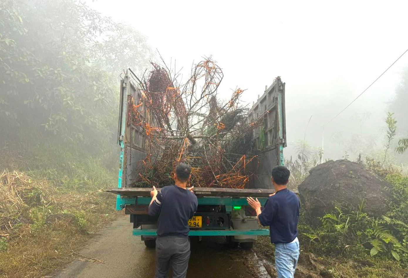 Đổ xô lên núi săn đào đá về bán Tết- Ảnh 7.