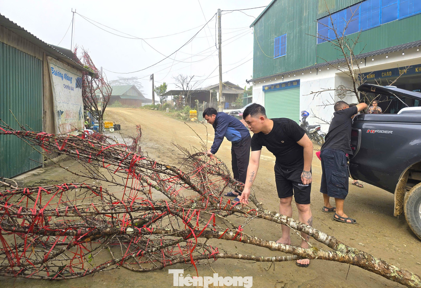 Đổ xô lên núi săn đào đá về bán Tết- Ảnh 9.