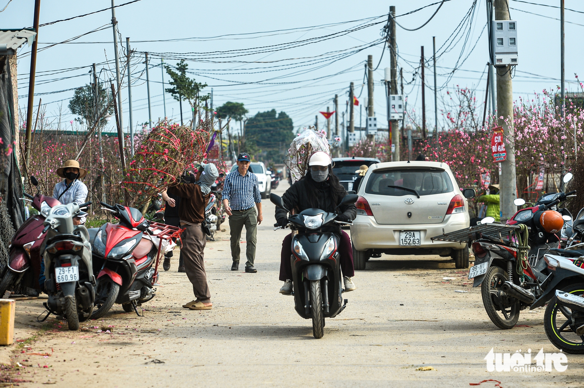 đào nhật tân - Ảnh 6.