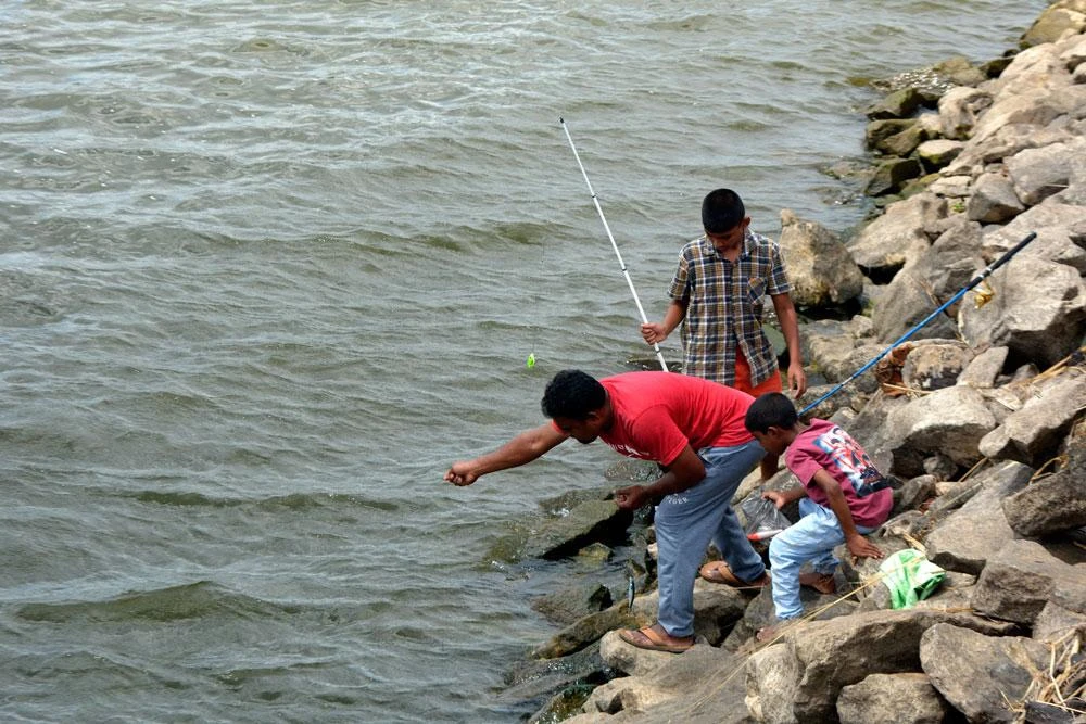 Cuộc thi câu cá lóc khổng lồ (cá lóc bông) ở Sri Lanka_2.jpg