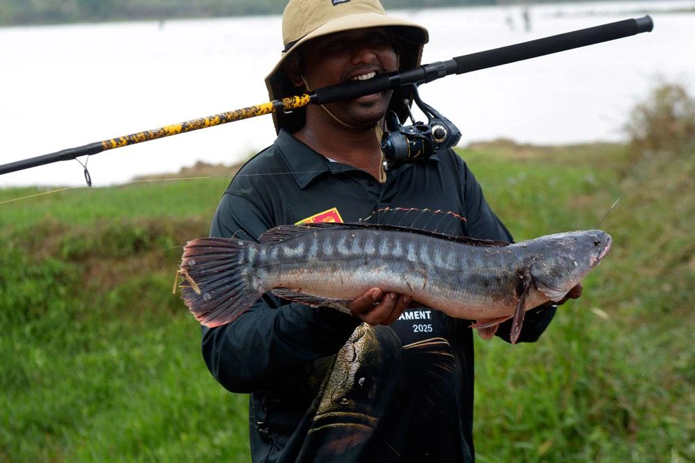 Cuộc thi câu cá lóc khổng lồ (cá lóc bông) ở Sri Lanka_5.jpg