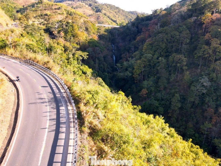 Cung đèo Măng Đen vốn đã nổi tiếng với những khúc cua uốn lượn, khí hậu mát mẻ quanh năm và cảnh quan còn hoang sơ, nay càng thêm cuốn hút khi rừng bằng lăng khoác lên mình diện mạo mới.