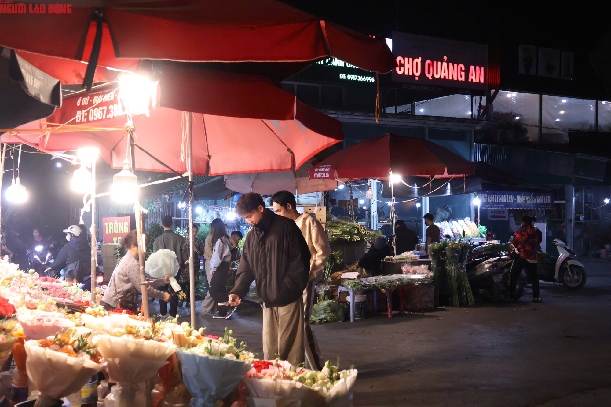 Khám phá chợ hoa Quảng An lớn nhất Hà Nội dịp Tết 2026 - Ảnh 2.