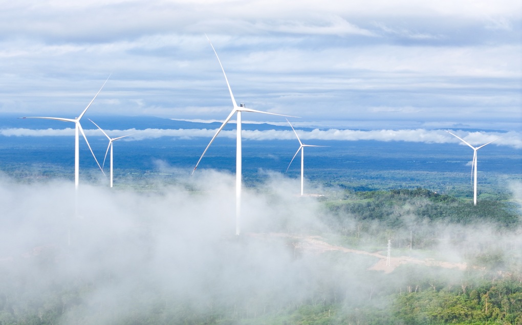 TT Group nhận giải thưởng “Vươn mình ra biển lớn” - 4